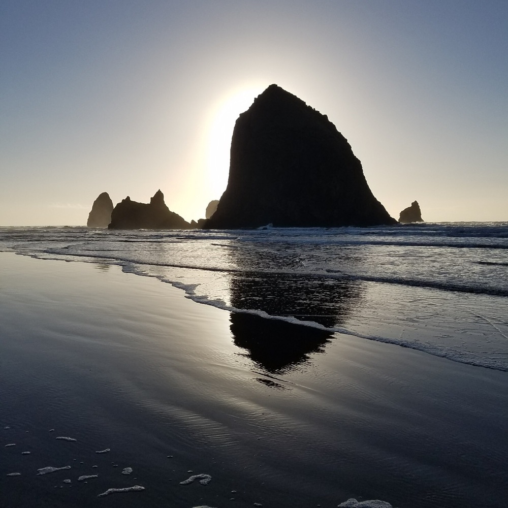 Meet your Posher, Shelby